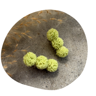 Pompom baby lichtgroen (2 stuks)