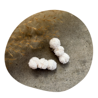 Pompom baby wit (2 stuks)